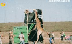 陈柏霖颜值花儿与少年,陈柏霖个人简介