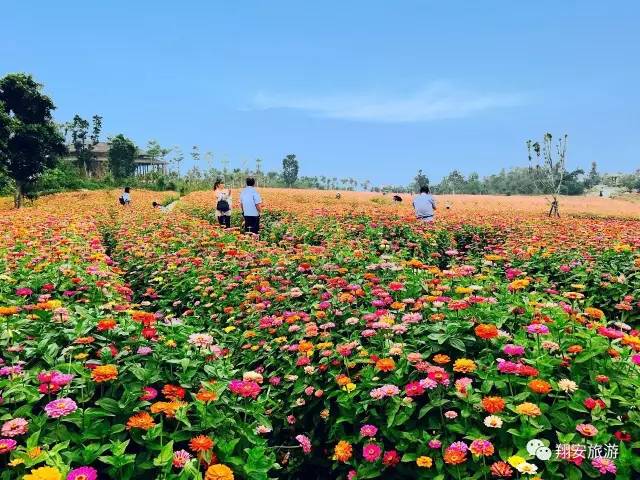 自驾旅行不辜负每一刻好时光 (趁着周末闲暇时间自驾出游)