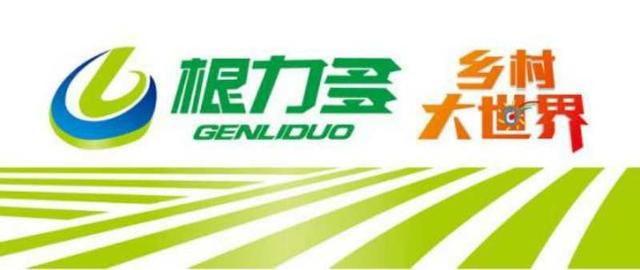 第十六届农村文化艺术节,第二届全国农民文化艺术节