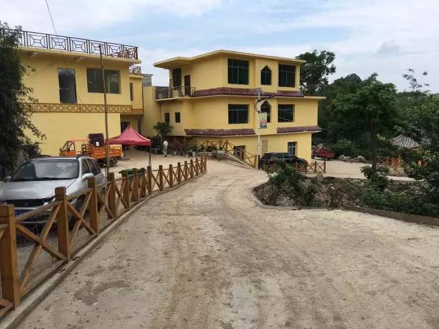 “双百三同”驻村记｜瀑乡有棵“摇钱树”