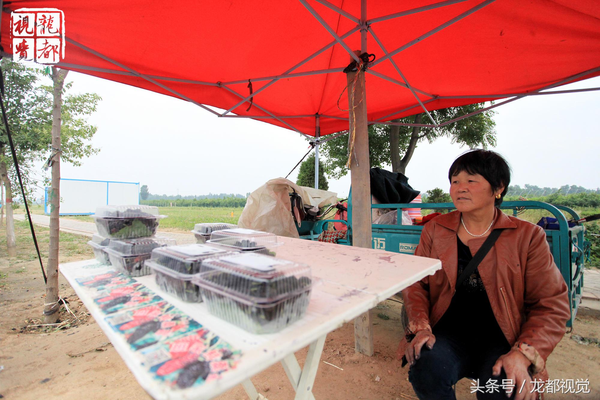 摆地摊卖桑葚,路边摆摊卖桑葚