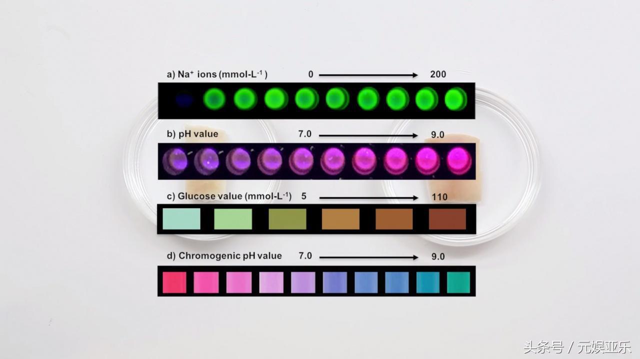 麻省理工纹身,麻省理工研究员
