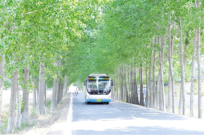 胶州铺集足球小镇最新消息,胶州市北部基础设施提升工程