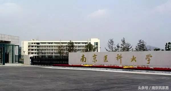 南京高校专业排名一览表,南京高考专业排行榜