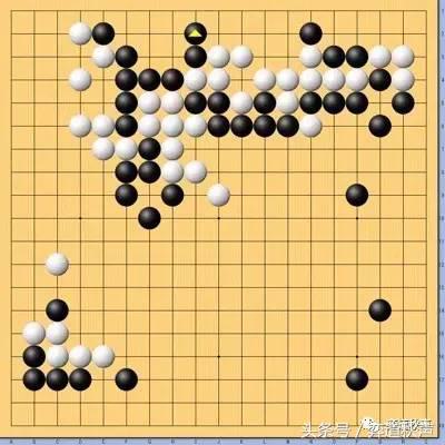 日本本因坊最终战现场视频直播,本因坊战井山裕太