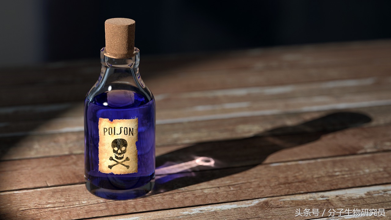 现在从美国代购化妆品有病毒吗,进口化妆品代购的猫腻