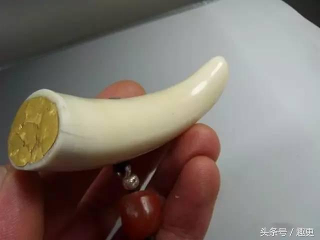 这些玩物真是重口味到没朋友，胆小点都怕惹祸上身……