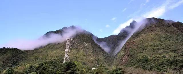 为什么要去四川广元,对不起我要去钟祥了图片