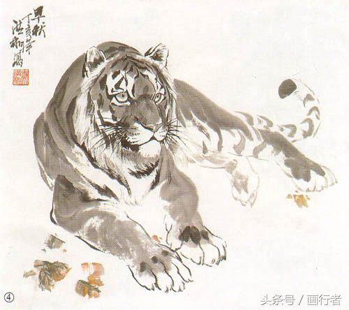 画虎年老虎,国画虎的基本绘画技法