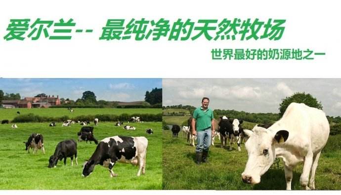 新手妈妈怎么看奶粉配方,新手妈妈购买奶粉