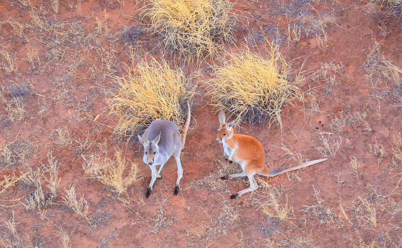北石：这个由一群流放者建立的国家如今居然这么发达和美丽