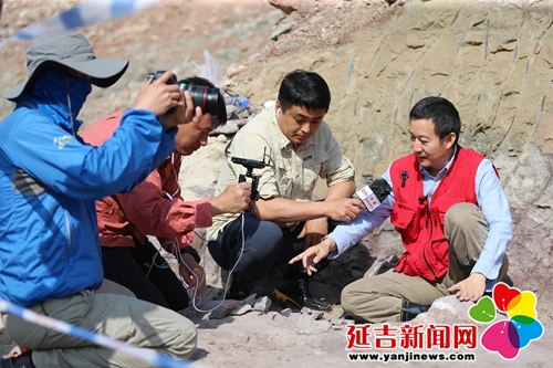 恐龙挖掘现场直播,恐龙化石发掘现场直播