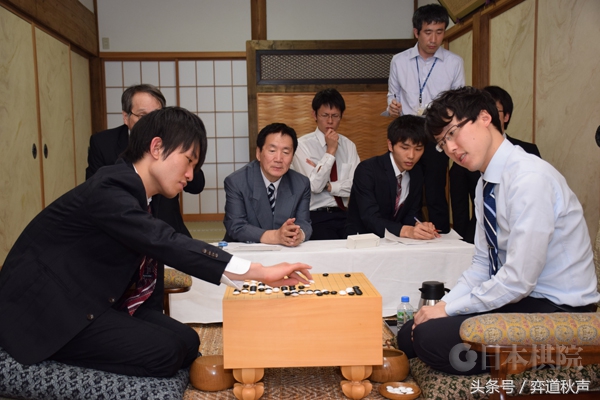 日本本因坊最终战现场视频直播,本因坊战井山裕太