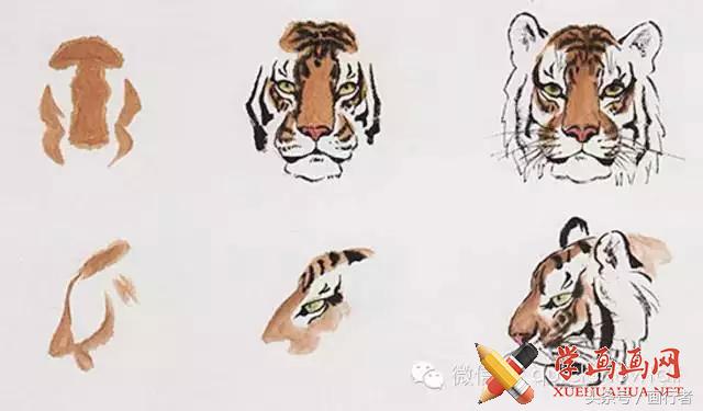 画虎年老虎,国画虎的基本绘画技法