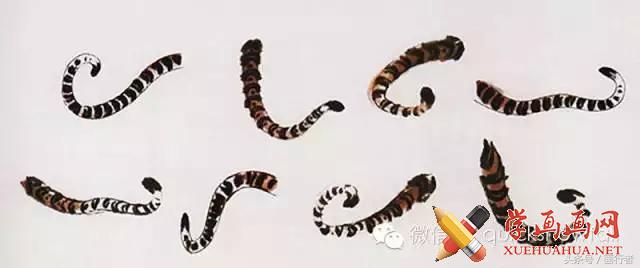 画虎年老虎,国画虎的基本绘画技法