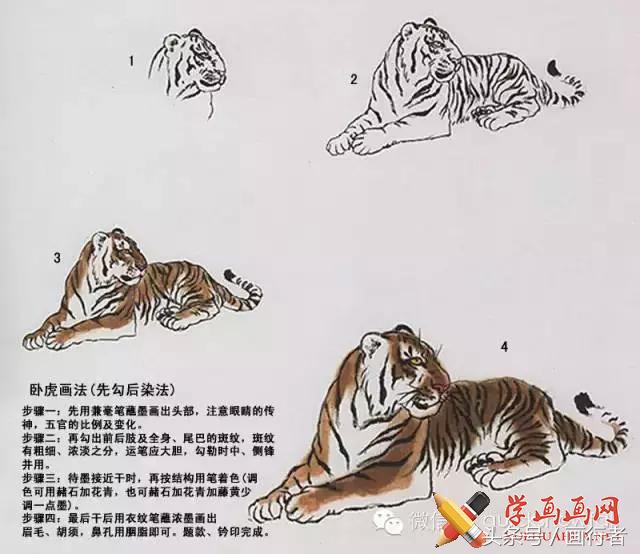 画虎年老虎,国画虎的基本绘画技法