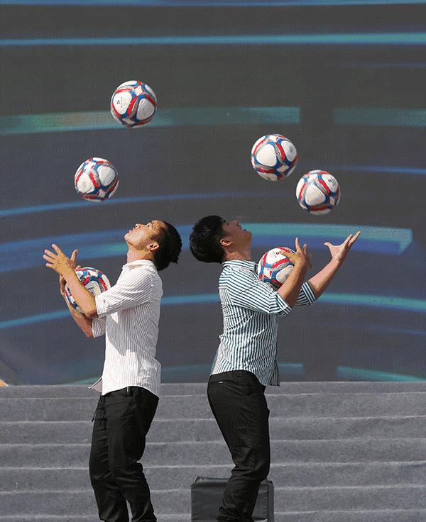 第十六届农村文化艺术节,第二届全国农民文化艺术节