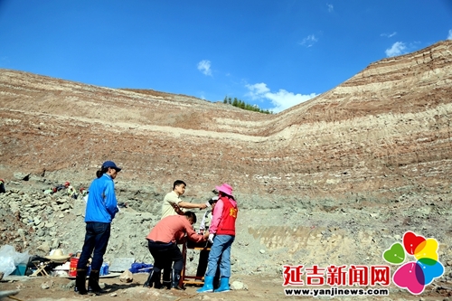 恐龙挖掘现场直播,恐龙化石发掘现场直播