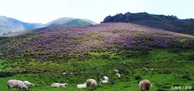 人生必去的20个旅行地,人生一定要去的22个旅行地