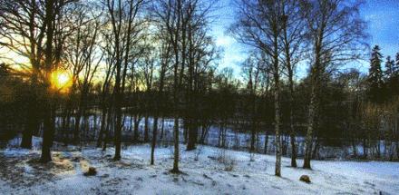 网友想把自己寿命转给亲人，是否值？看清原理再决定吧