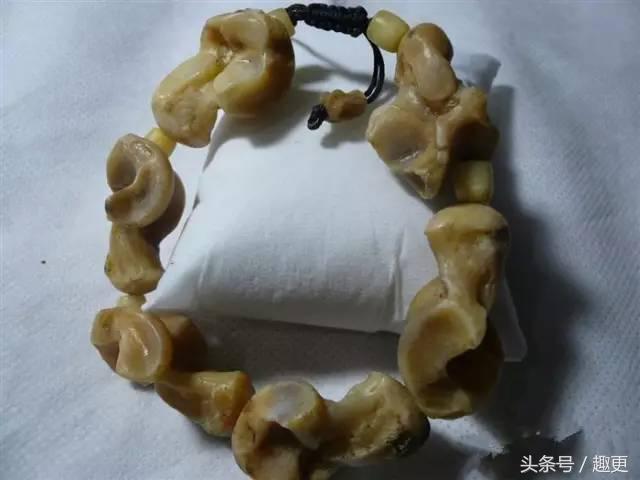 这些玩物真是重口味到没朋友，胆小点都怕惹祸上身……