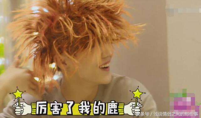 鹿晗乔欣vs鹿晗热巴,耿直的鹿晗节目中对乔欣避嫌