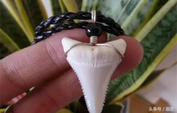 这些玩物真是重口味到没朋友，胆小点都怕惹祸上身……