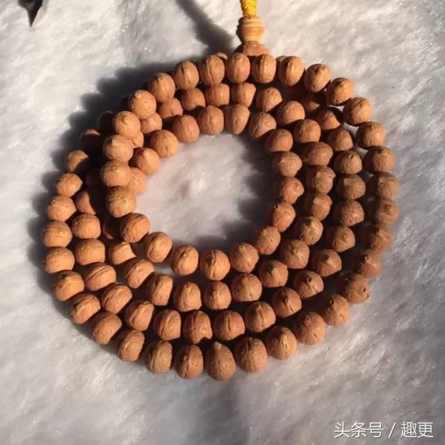 这些玩物真是重口味到没朋友，胆小点都怕惹祸上身……