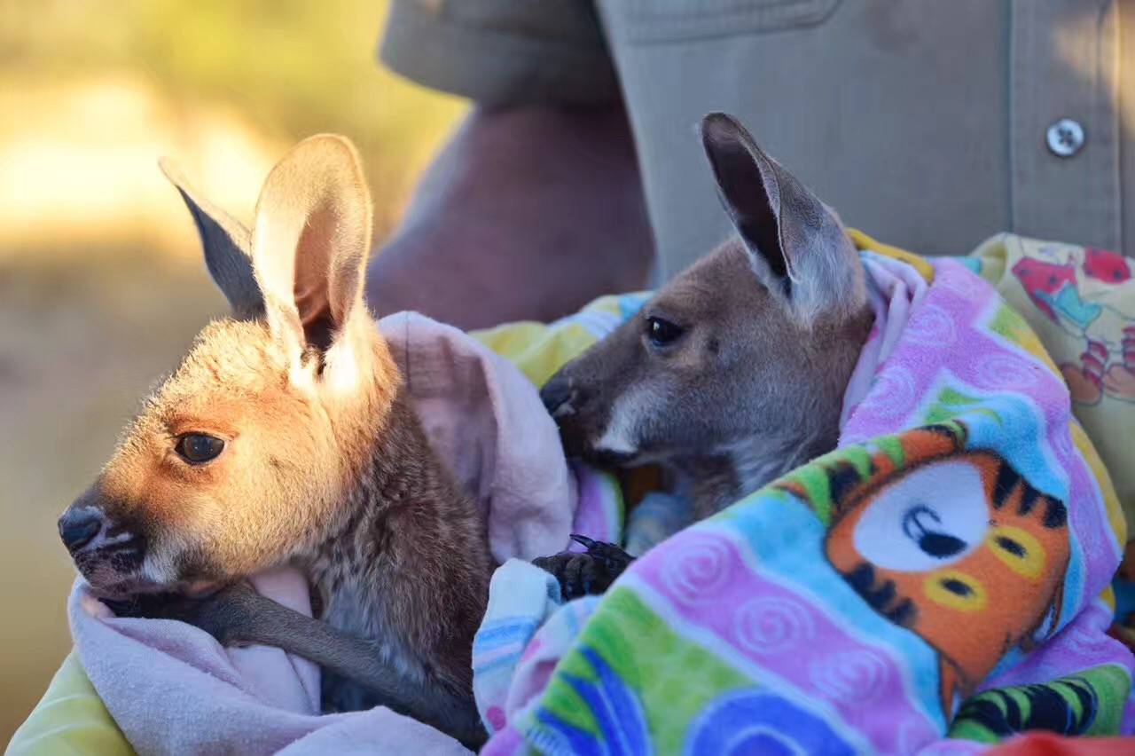 北石：这个由一群流放者建立的国家如今居然这么发达和美丽