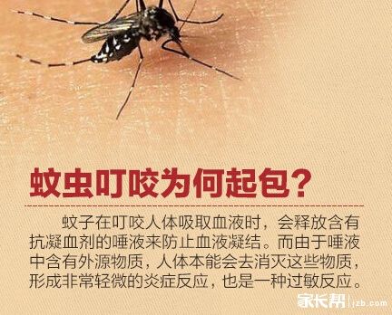 夏天上山脸上擦什么药防蚊子叮咬,夏天怎么防蚊子叮咬