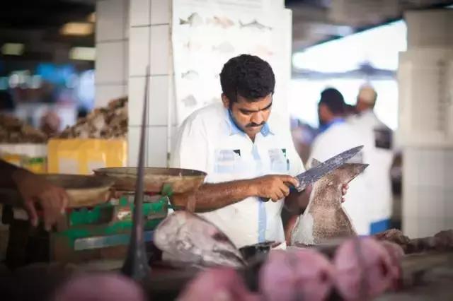 纸醉金迷的启航之路——迪拜（下）