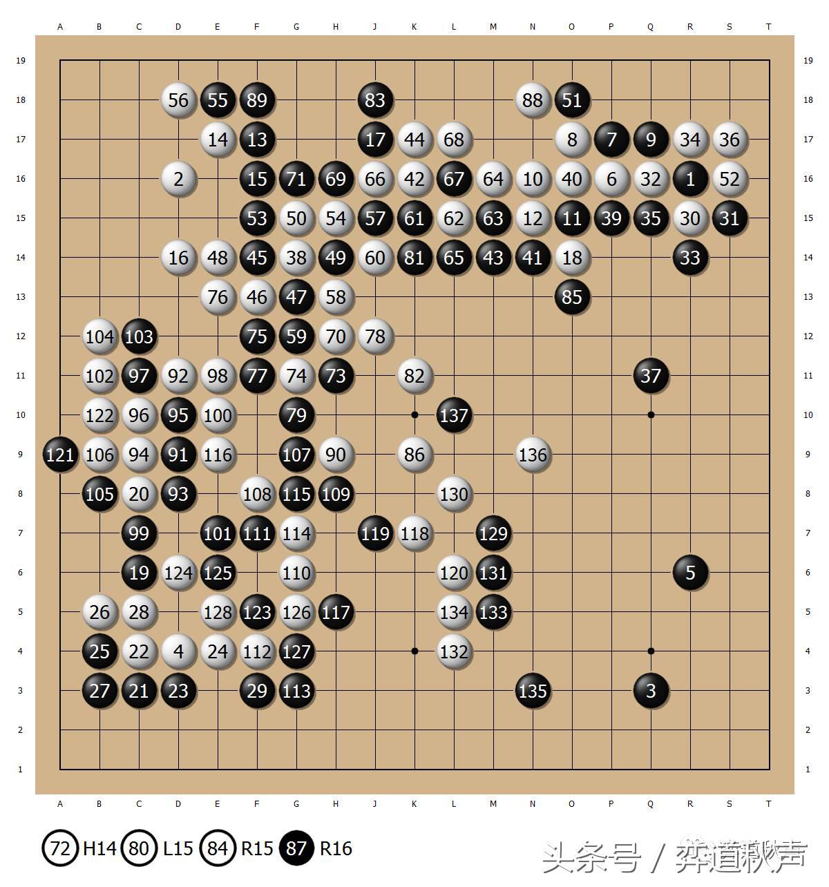 日本本因坊最终战现场视频直播,本因坊战井山裕太