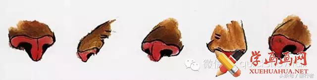 画虎年老虎,国画虎的基本绘画技法