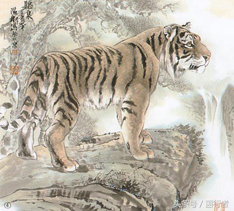 画虎年老虎,国画虎的基本绘画技法