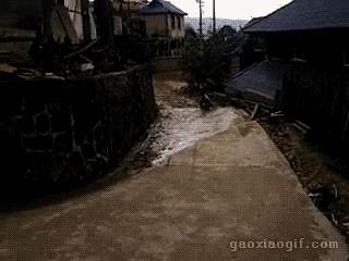 女司机为什么喜欢开suv,为什么女司机适合开手动挡