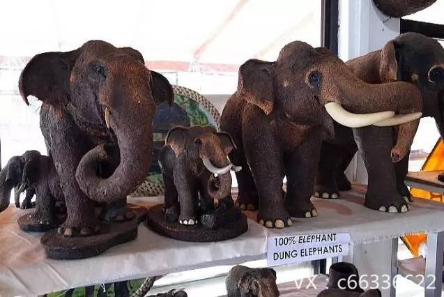 最热销的干货,市场干货哪种最畅销