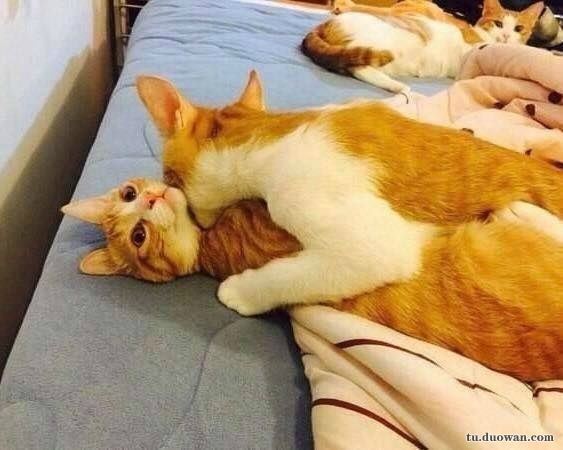 每日一乐让你快乐,每日一乐好不好