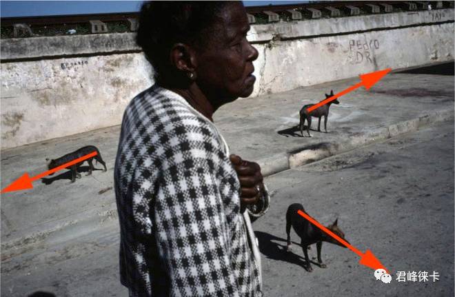 摄影三角构图详解,三角构图曲线构图