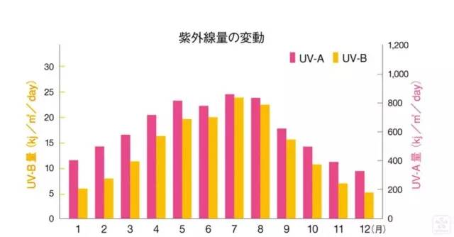 儿童防晒有哪些坑点,被曝光儿童防晒