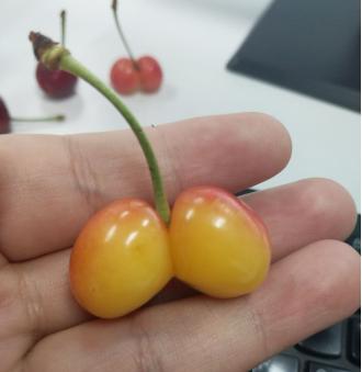 捕获迷之小屁屁一对，尝尝味道还不错