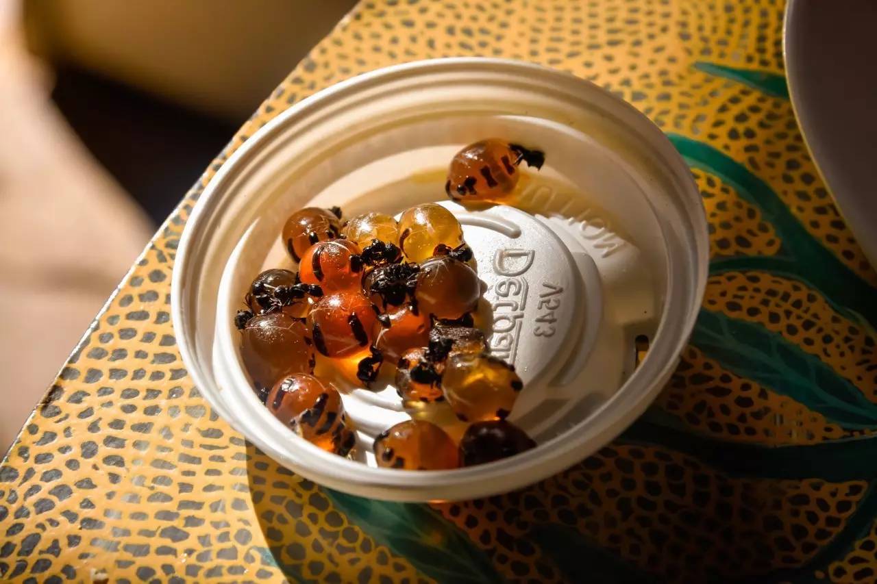 北石：这个由一群流放者建立的国家如今居然这么发达和美丽