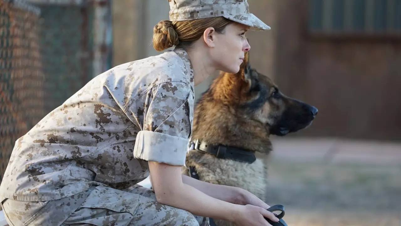 盖尔加朵神奇女侠,神奇女侠盖尔加朵集锦