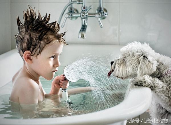 洗澡狗狗害怕,为什么洗澡狗狗喜欢跟着