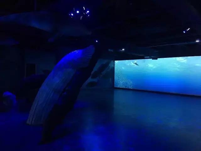 沈阳梦想王国游乐园,沈阳即将新开的游乐场