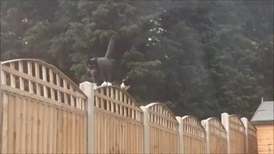 大爷的遮阳工具堪称完美，整体搭配又如此清新脱俗