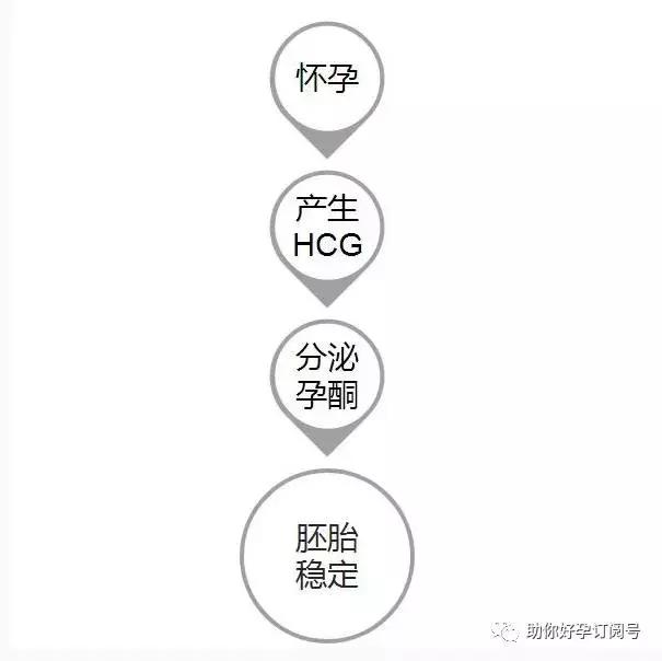 怀孕为什么要检查雌二醇和孕酮,怀孕为什么查hcg和绒毛