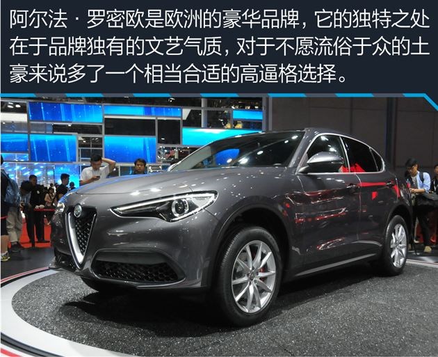 阿尔法罗密欧stelvio35万提车,阿尔法罗密欧购车手册