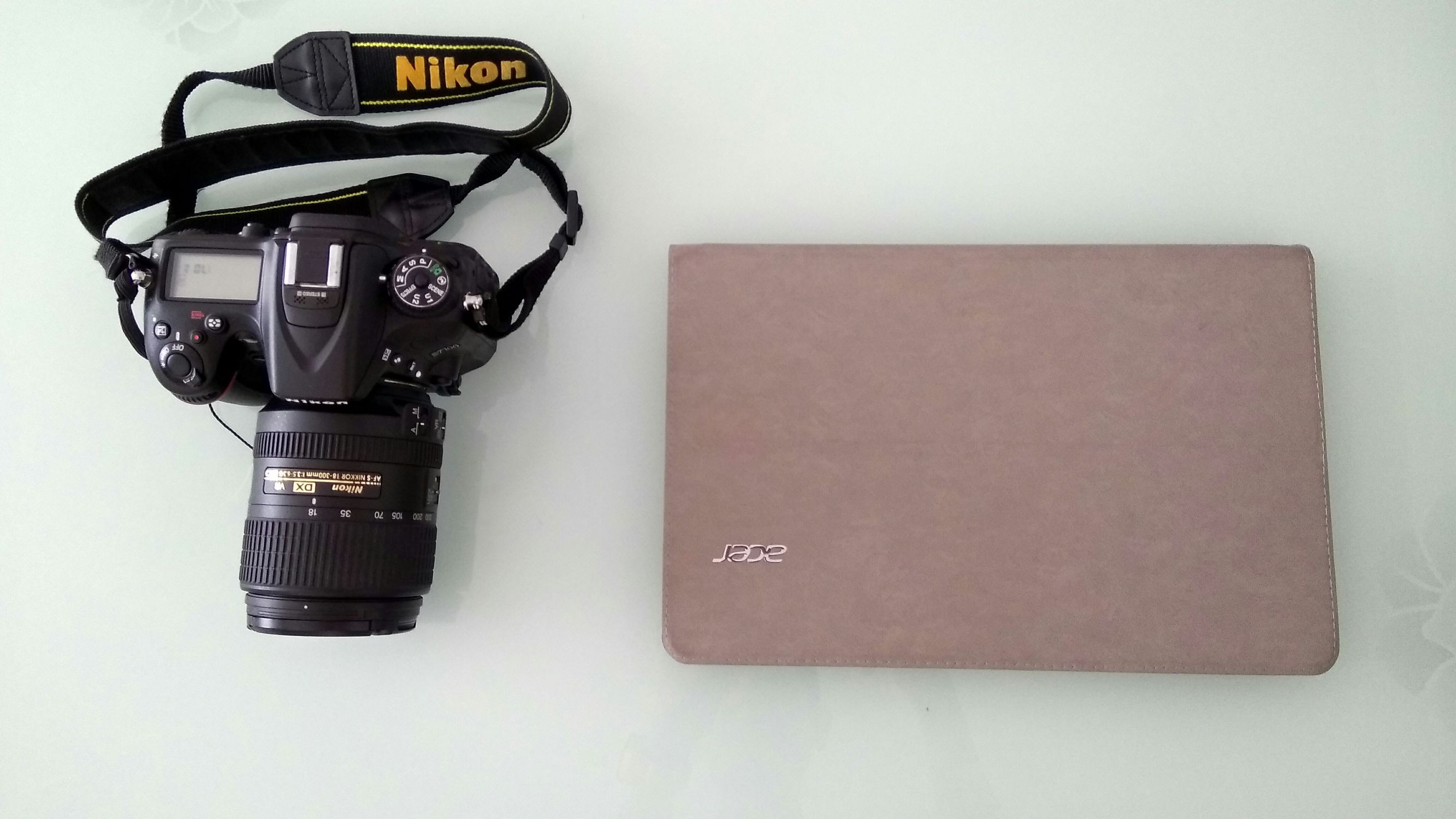 一人一狗一车的旅行视频,一人一车一狗去自驾