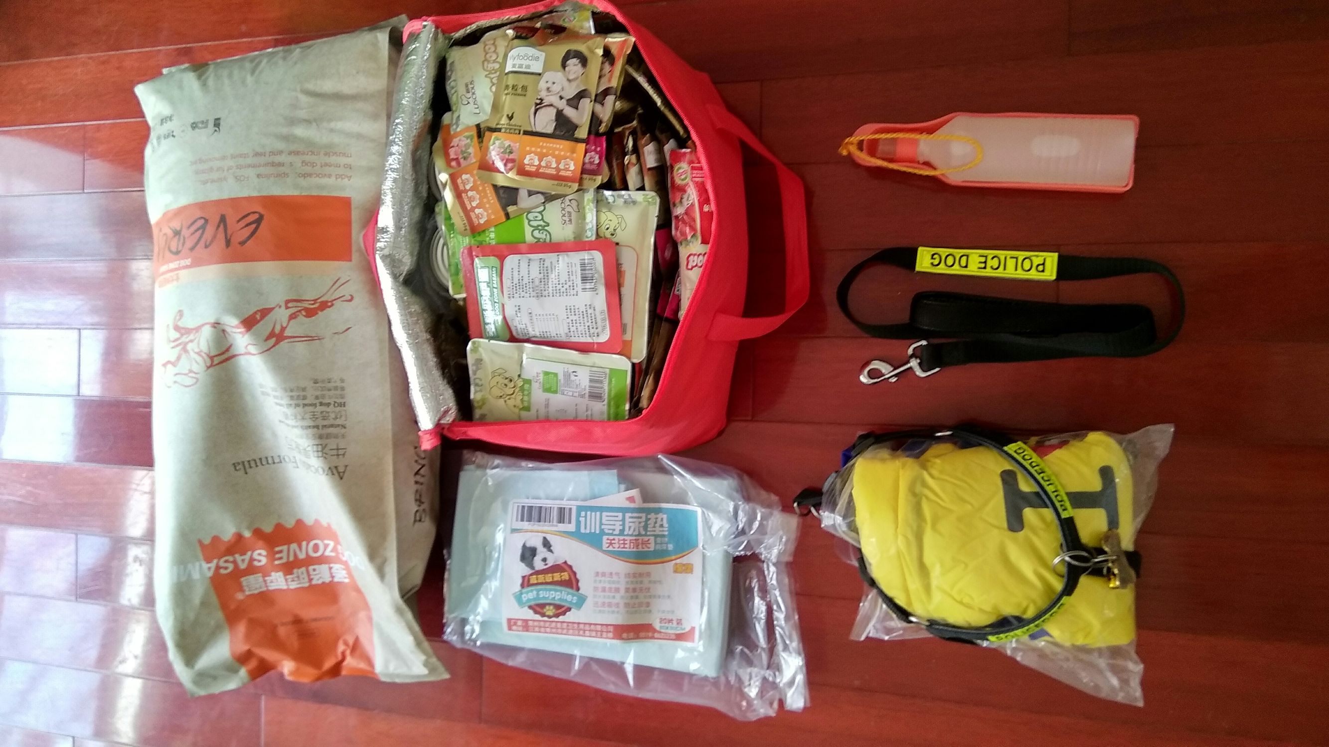 一人一狗一车的旅行视频,一人一车一狗去自驾