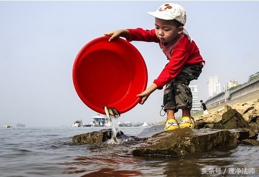 戒杀放生一书中讲为什么要吃素,莲池大师戒杀放生文全文诵读